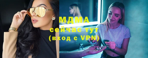 индика Абинск