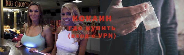 индика Абинск