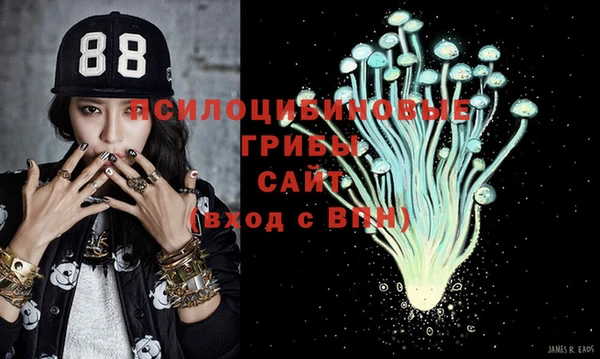 индика Абинск