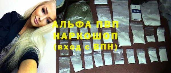 индика Абинск