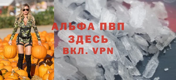 индика Абинск